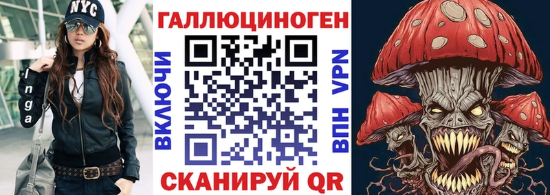 Псилоцибиновые грибы GOLDEN TEACHER  как найти наркотики  Гдов 